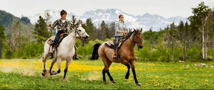 Confident plus-size woman riding Norwich a horse through a field with a smile on her face.